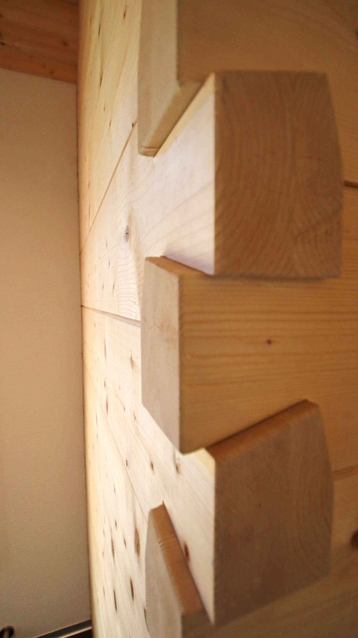 Chalet in Bellwald, Krummenacher - Schmid